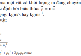 Tổng hợp kiến thức các định luật bảo toàn lý 10 chương 4