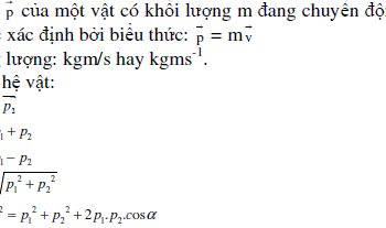 Tổng hợp kiến thức các định luật bảo toàn lý 10 chương 4