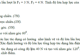 Bài tập vật lý 10 chương 2 có lời giải chi tiết