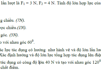 Bài tập vật lý 10 chương 2 có lời giải chi tiết