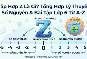 Tập Hợp Z Là Gì? Tất Cả Lý Thuyết Về Tập Hợp Số Nguyên Và Bài Tập Chi Tiết Từ A Đến Z