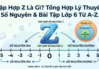 Tập Hợp Z Là Gì? Tất Cả Lý Thuyết Về Tập Hợp Số Nguyên Và Bài Tập Chi Tiết Từ A Đến Z